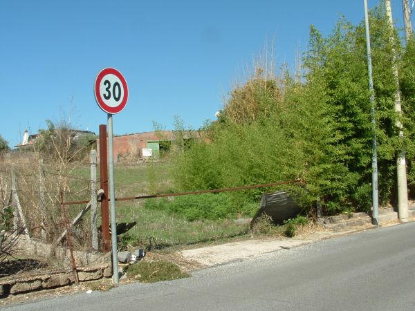 foto 1.JPG